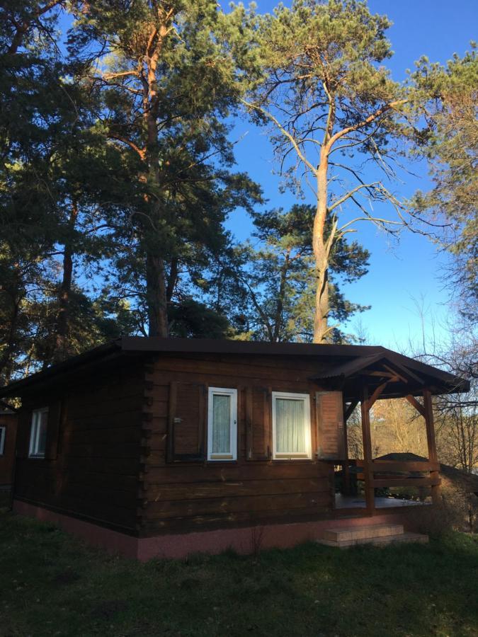 Sosnowy Domek Serpelice Exterior foto